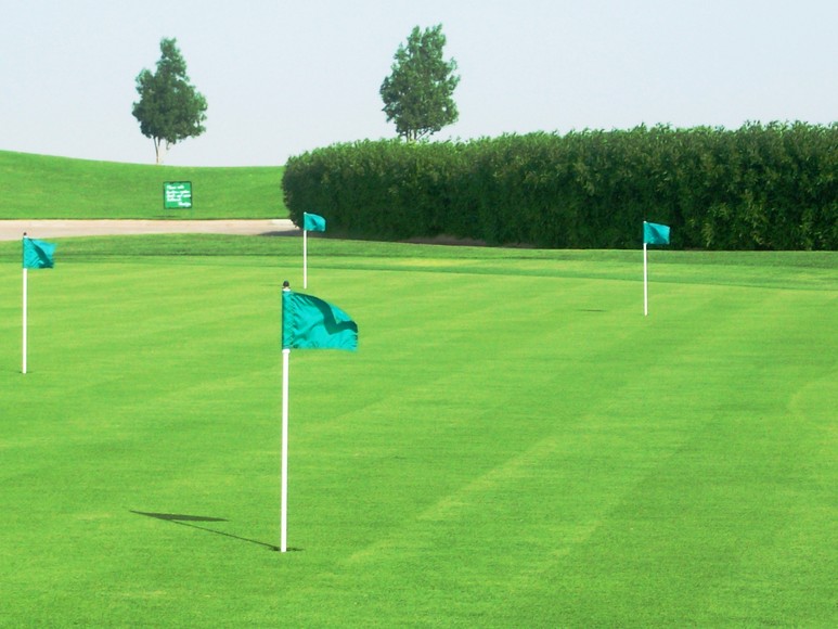 Kuwait International Golf Course & Country Club Photo Gallery